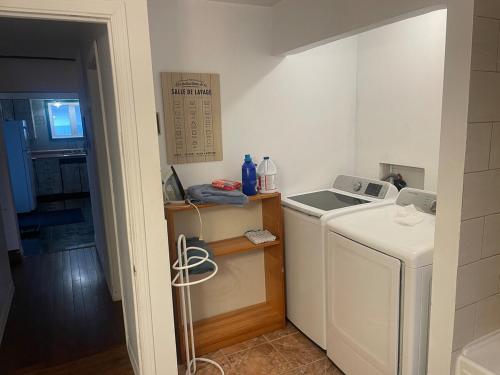 a laundry room with a washer and dryer at Large Farm in Bélanger