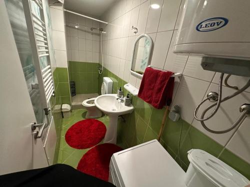a small bathroom with a sink and a toilet at Heart of prishtina apartaments 5 in Pristina