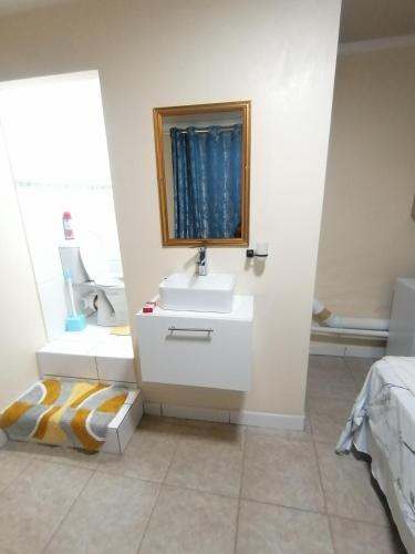 a bathroom with a sink and a mirror at Hospital View Residence in Boksburg