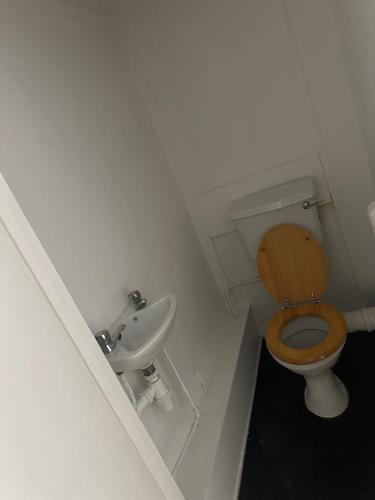 a small bathroom with a toilet and a sink at Ferryboat Inn in Pangbourne