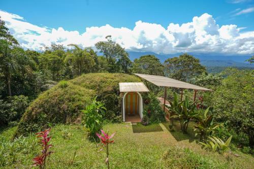 a small house in a field with a grass dome at Vibra Healing Lodge y Spa in Teniente Hugo Ortiz