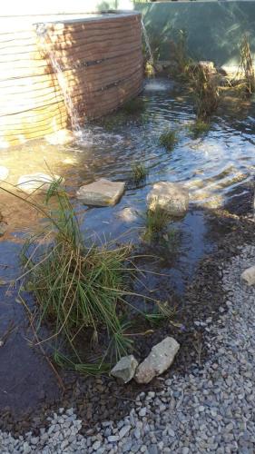 a garden with rocks and grass in the water at The Historic Pig and Whistle Inn in Bathurst