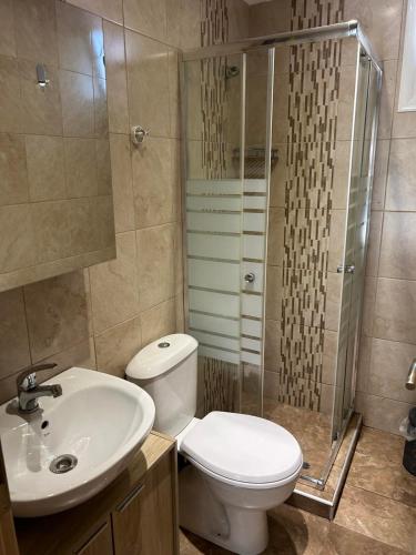 a bathroom with a toilet and a shower and a sink at Villa Sofia By The Sea in Leptokarya