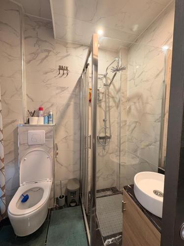 a bathroom with a shower and a toilet and a sink at Évasion tout confort au T3 bis Pyrénées Palace in La Celle-sous-Gouzon