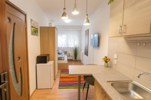 a kitchen with a sink and a counter top at Clementine Apartman in Százhalombatta