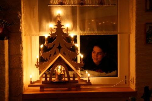 a lit up christmas tree in a window with candles at Hotel Am Markt in Ehrenfriedersdorf