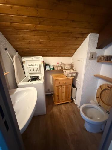 baño pequeño con fregadero y fogones en beau duplex marmotiere, en Risoul