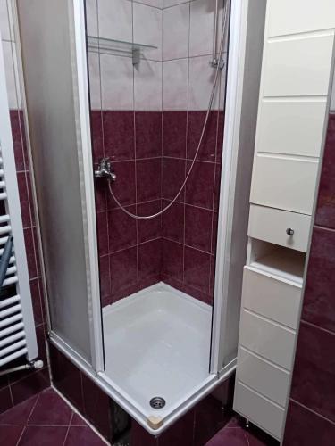 a shower with a glass door in a bathroom at Stan na dan Kalin in Bugojno