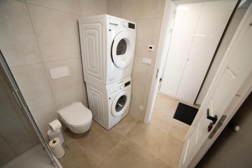 a bathroom with a washing machine and a toilet at Vista Pálava - Apartmán Pasohlávky in Pasohlávky