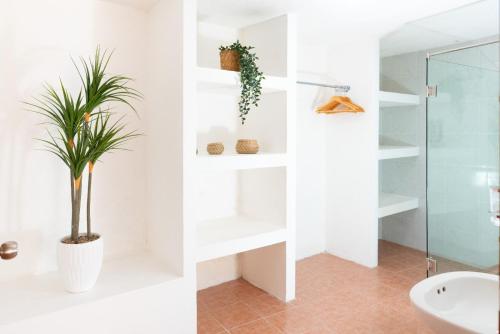 a bathroom with white shelves and a plant at Casa Rincón Bonito in Puerto Escondido