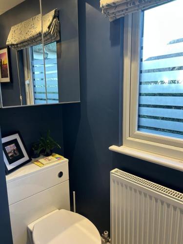 a bathroom with a toilet and a window at Charming cottage in Urchfont