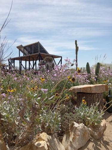 Φυσικό τοπίο κοντά σε αυτό το hostel