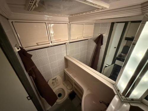 Un baño con lavabo, espejo e inodoro. en Fully Equipped Caravan 1, en Gentofte
