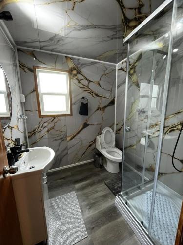 um banheiro com pia e vaso sanitário em Cabaña Puerta a la Patagonia em Chaitén