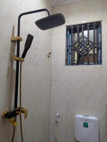 a shower in a bathroom with a toilet and a window at Ocean Breeze Apartments in Dar es Salaam