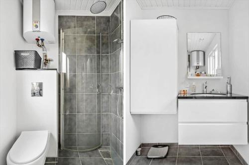 a bathroom with a shower and a toilet and a sink at 162-Thisted-Molgaardsvej-62 in Thisted