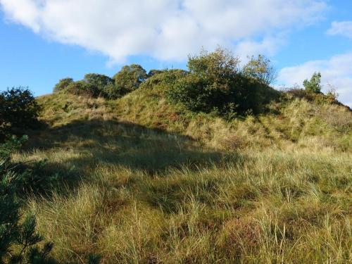 Φυσικό τοπίο κοντά σε αυτή η παραθεριστική κατοικία