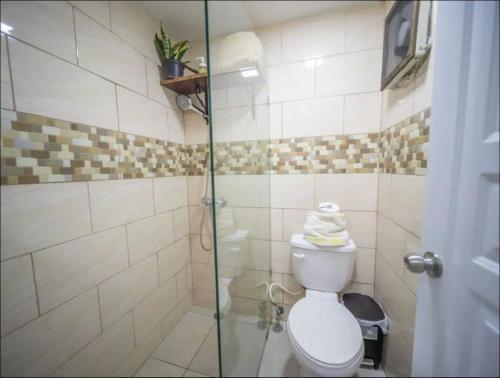 Un baño con inodoro y ducha de cristal. en 2 Guests 1bed Studio 3min To Beach And Main Street, en Sosúa