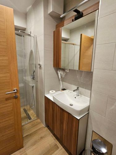 Un baño con lavabo y ducha en Apartman A 210 Aparthotel Vucko Jahorina private host, en Jahorina