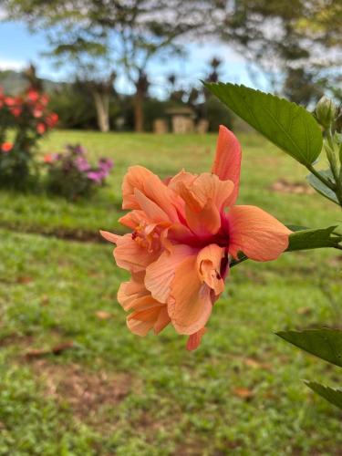 Gallery image of El refugio Ecolodge in Turrialba