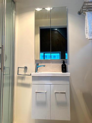 a bathroom with a sink and a mirror at The Black Shed Studio in New Plymouth