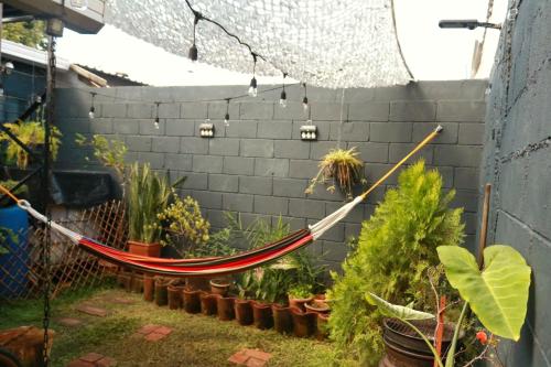 een hangmat in een tuin met planten bij Las Palmeritas in Ahuachapán