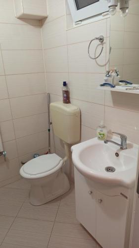 a bathroom with a toilet and a sink at Apartament Alexandru, B-dul Oituz, bloc 4, apartament 26, județ Bacău in Onești