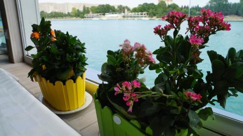 Zahrada ubytování River Side Hotel