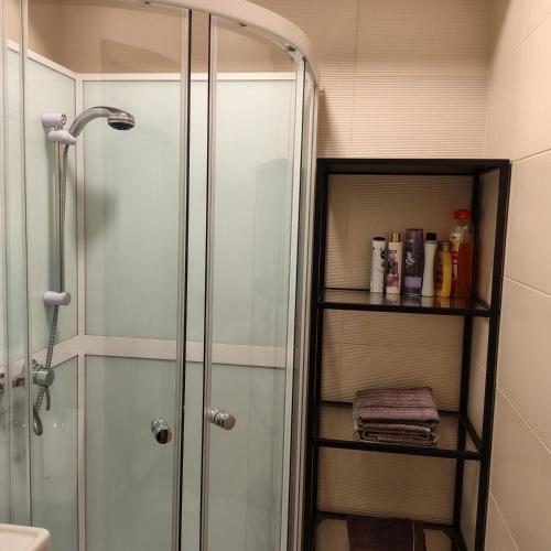 eine Dusche in einem Badezimmer mit einer Duschkabine aus Glas in der Unterkunft Apartment Paula in Saldus