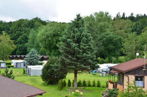 a tree in the middle of a yard with tents at Penzion Horal in Osek