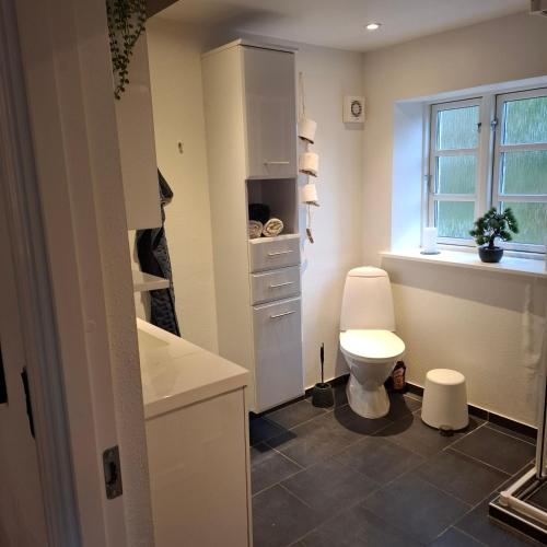 a small bathroom with a toilet and a window at oasen stenholt in Sønder Stenderup
