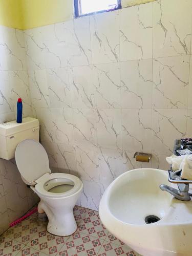 a bathroom with a toilet and a sink at HOSTEL ANIMAL LOvE in Sauraha