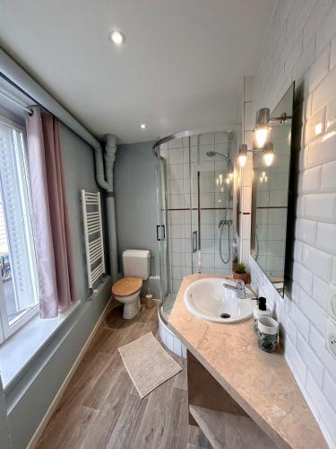 a bathroom with a sink and a shower and a toilet at Mâcon centre proximité gare in Mâcon