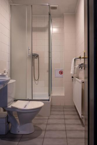 a bathroom with a shower and a toilet and a sink at Hotel CB Royal in České Budějovice