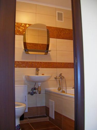 a bathroom with a sink and a toilet at Apartment Comfort in Lutsk