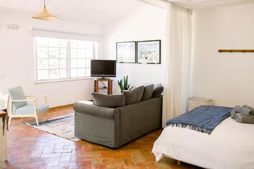 Hidden Gem with Pool & Garden in Historical Center