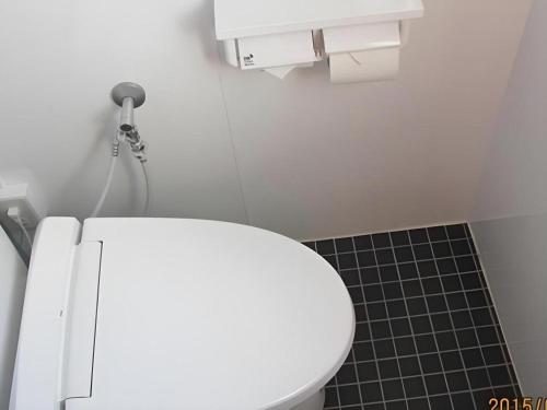 a bathroom with a white toilet and a black tile floor at Business Hotel Oise in Nagoya