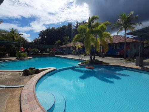 a large blue swimming pool with a palm tree at Global Ikhwan Resort in Langkawi Islands