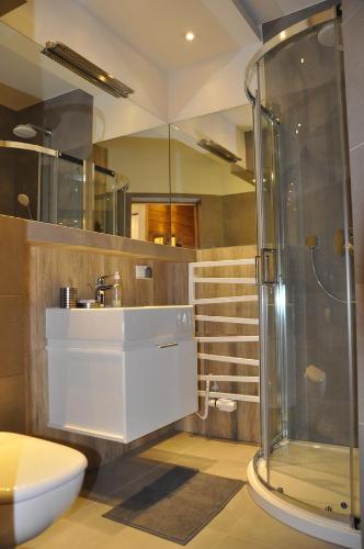 コシチェリスコにあるApartament Stalowy Kościelisko Sywarneのバスルーム(シャワー、洗面台、トイレ付)