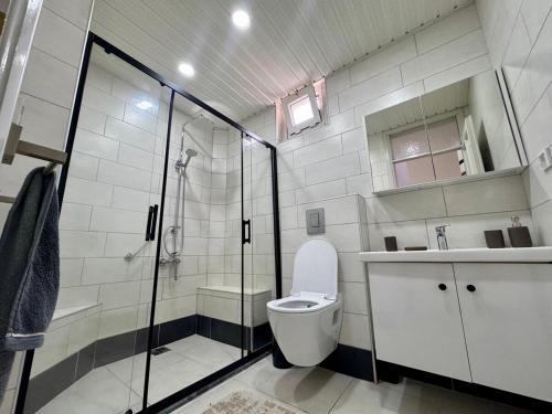 a bathroom with a shower and a toilet and a sink at Villa Konakli in Konaklı
