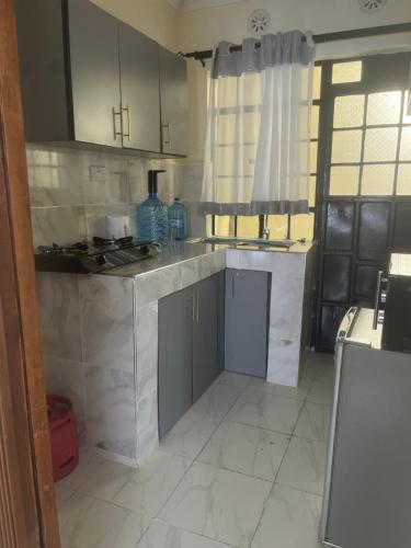 Kuchyň nebo kuchyňský kout v ubytování URBAN NEST HOMEs MACHAKOS