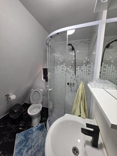 a bathroom with a shower and a sink and a toilet at Cabana Sofia in Burzeşti