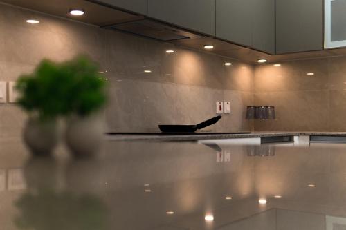 a kitchen with a counter top with a plant on it at Penta Square Superior Executive Apartments-DHA Lahore in Lahore