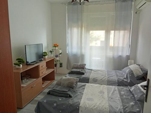 a bedroom with two beds and a tv and a window at Aleksej in Irig