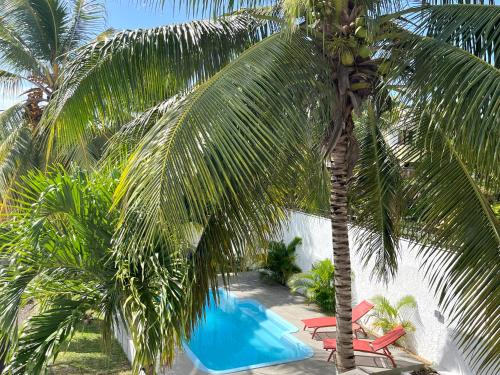 a palm tree with two chairs and a swimming pool at Villa Trois Cocos in Grand Baie