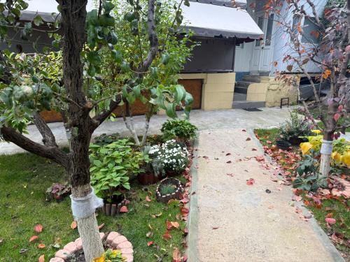 Afbeelding uit fotogalerij van MG rental in Chişinău