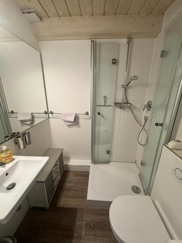 a bathroom with a shower and a toilet and a sink at Lieblingsplatz in Wrixum