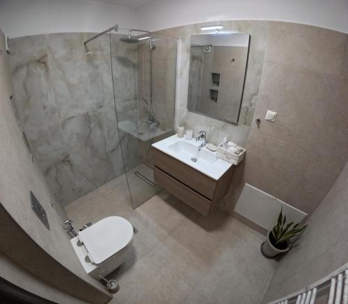een badkamer met toilet, wastafel en douche bij Stellina's Spot in Larisa