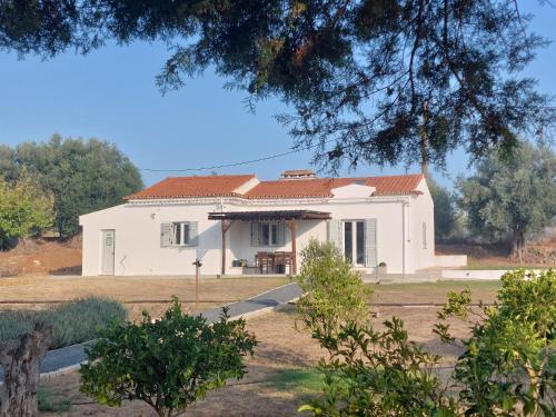 a white house with a red roof at Horta da Rosa - Adults Only in Alvito