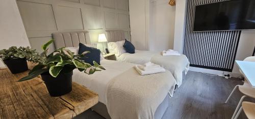 a hotel room with two beds and a tv at Court Studio Apartment in Cardiff